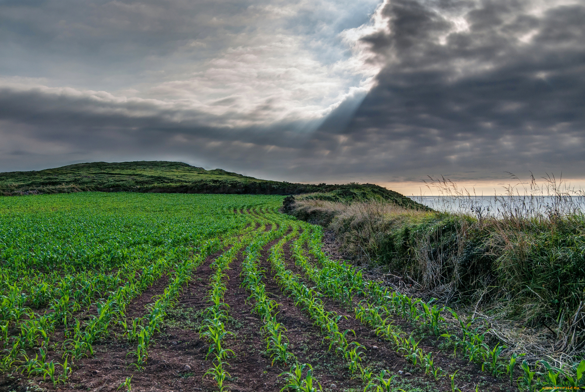 природа, побережье, море, берег