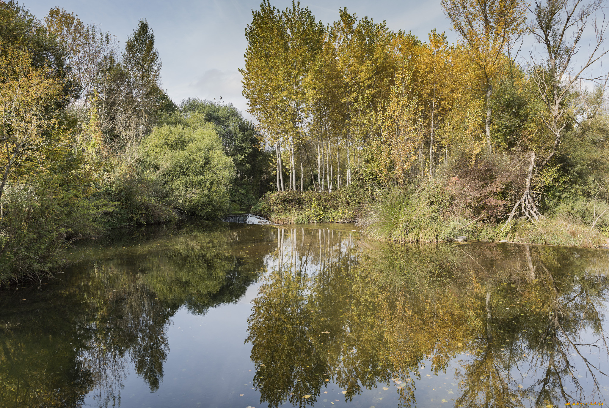 природа, реки, озера, река, лес