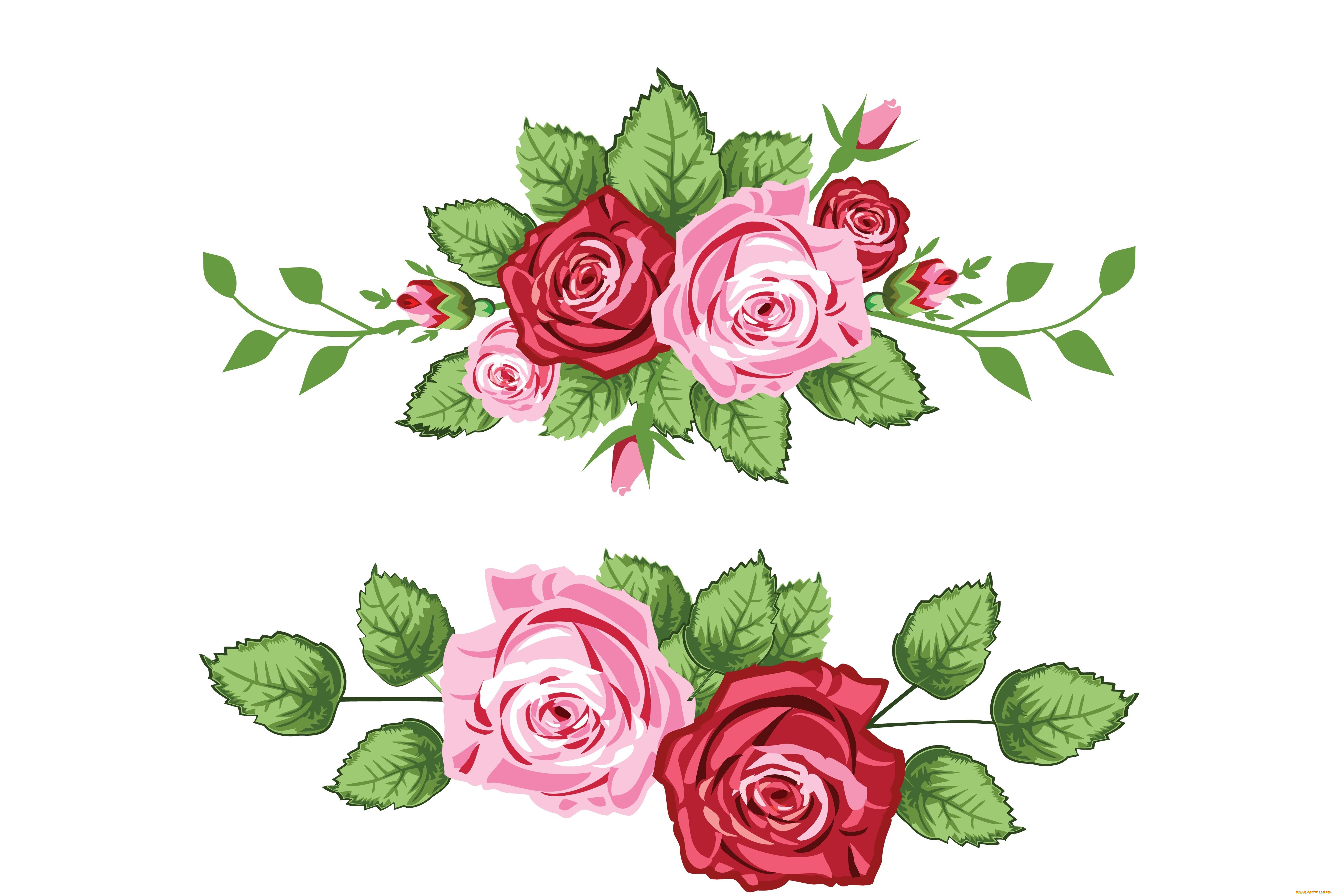 векторная, графика, цветы, , flowers, фон, цветы