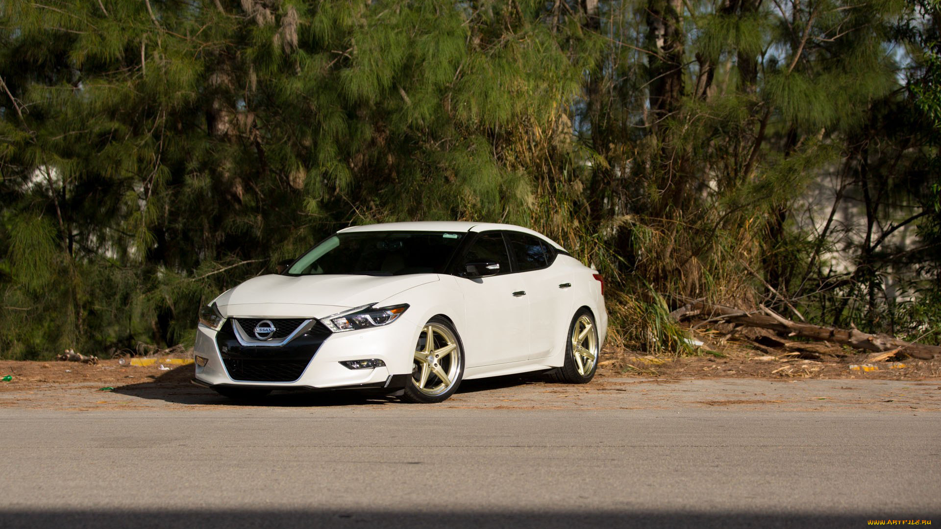 автомобили, nissan, datsun