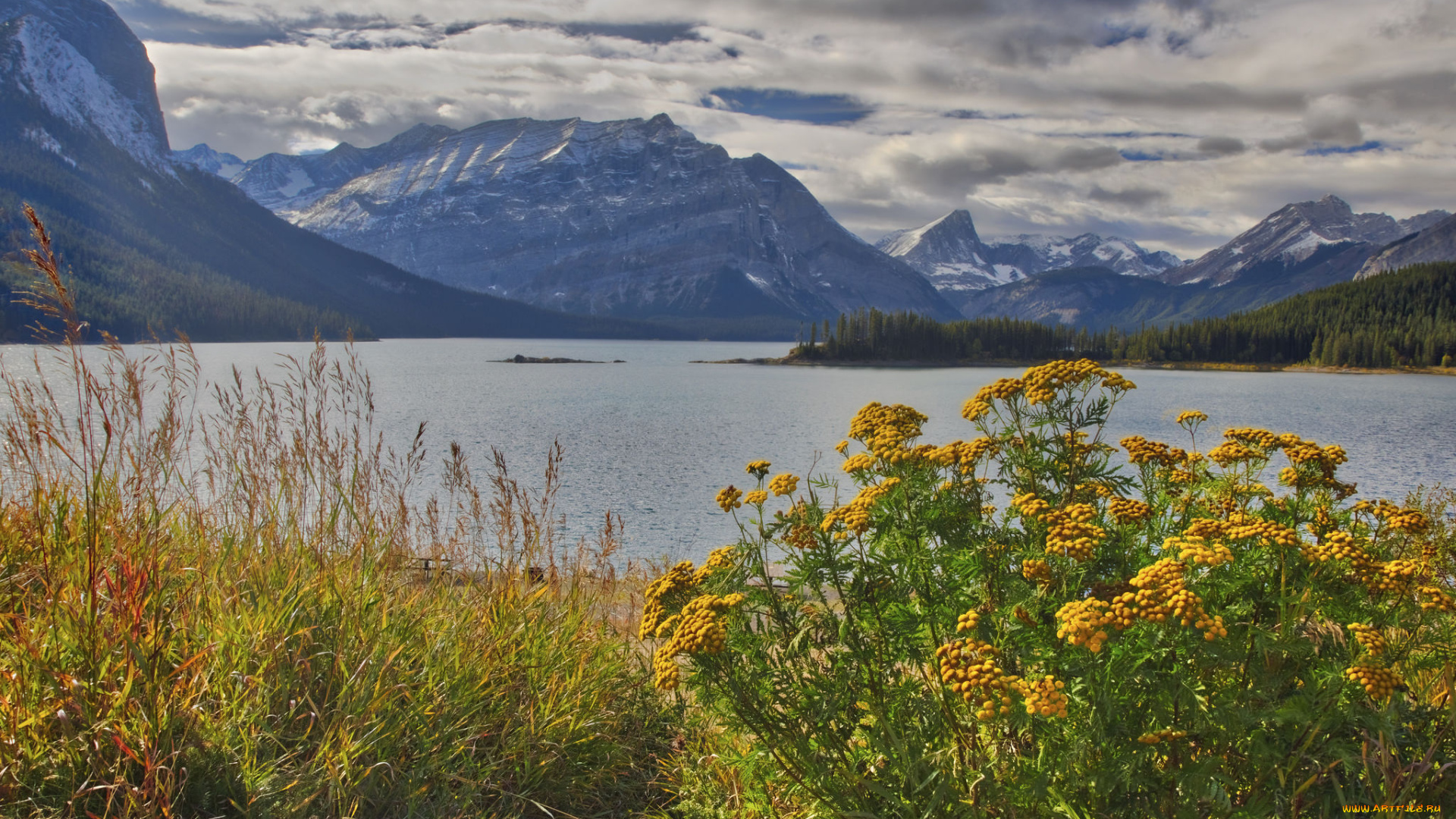 природа, реки, озера, простор