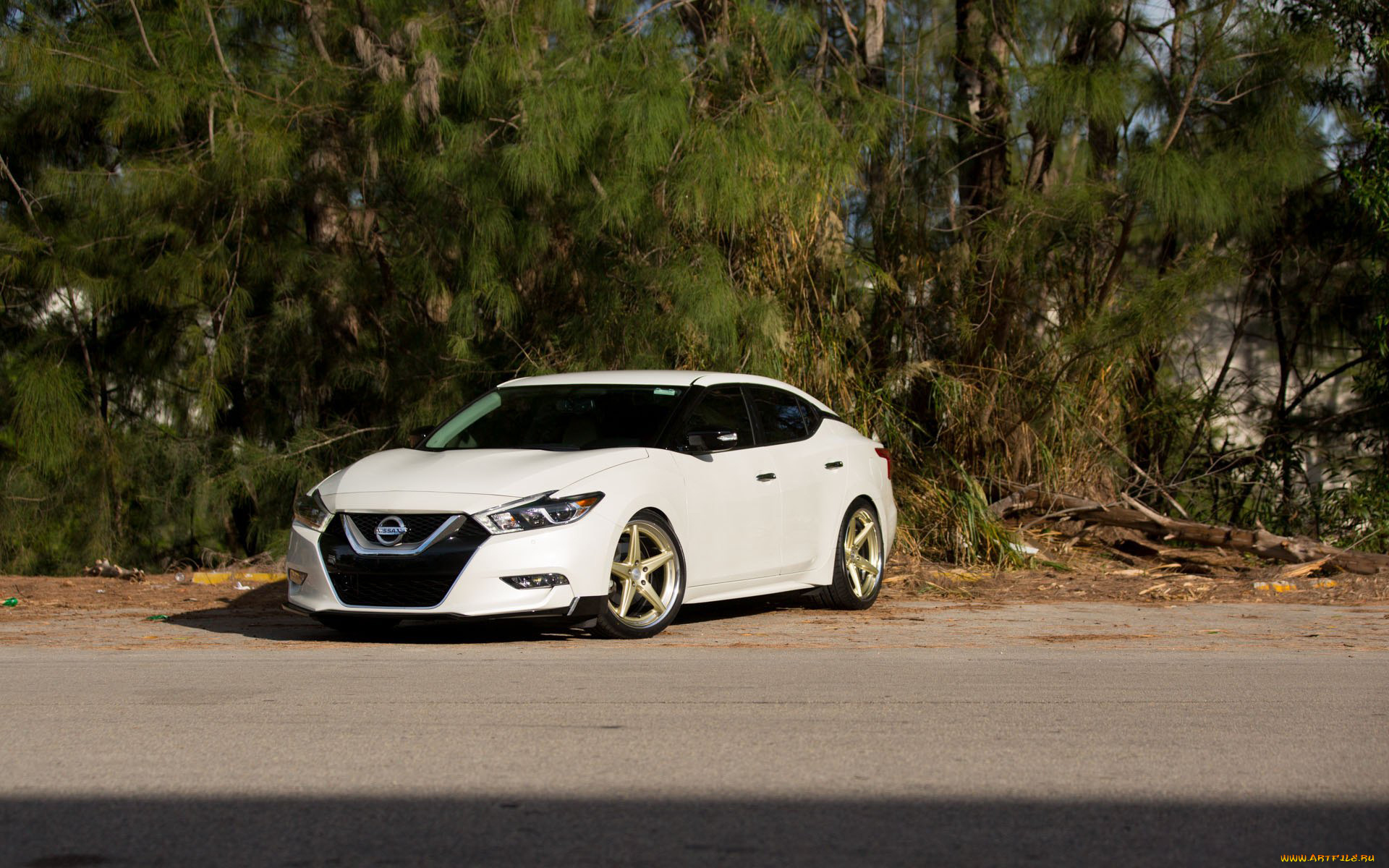 автомобили, nissan, datsun