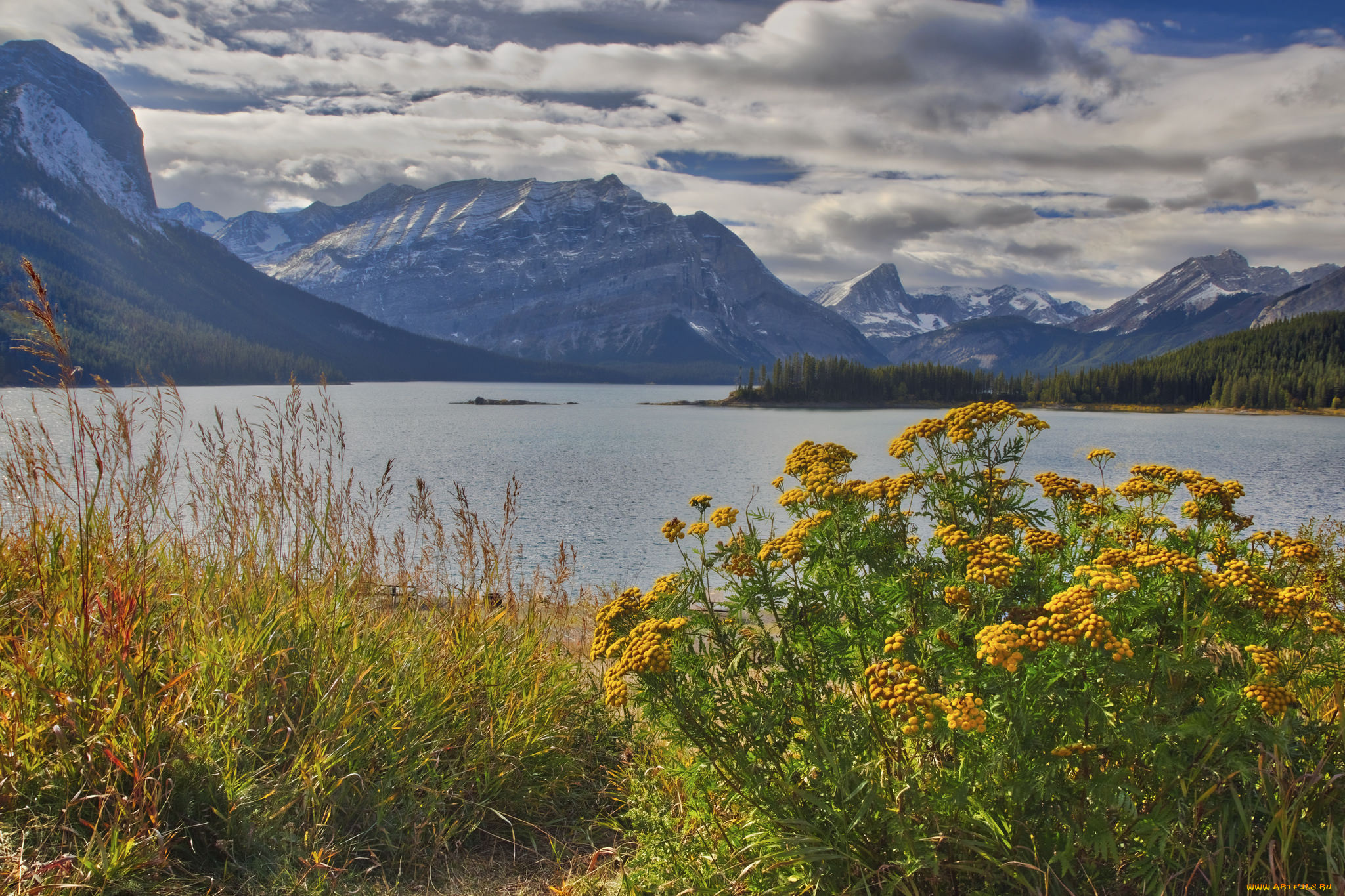 природа, реки, озера, простор