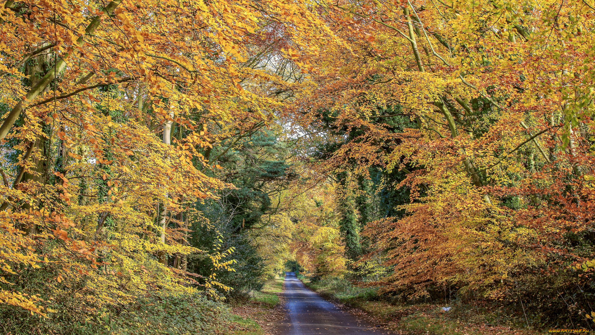 природа, дороги, простор