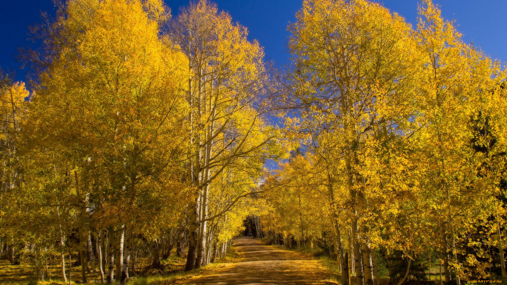 природа, дороги, простор