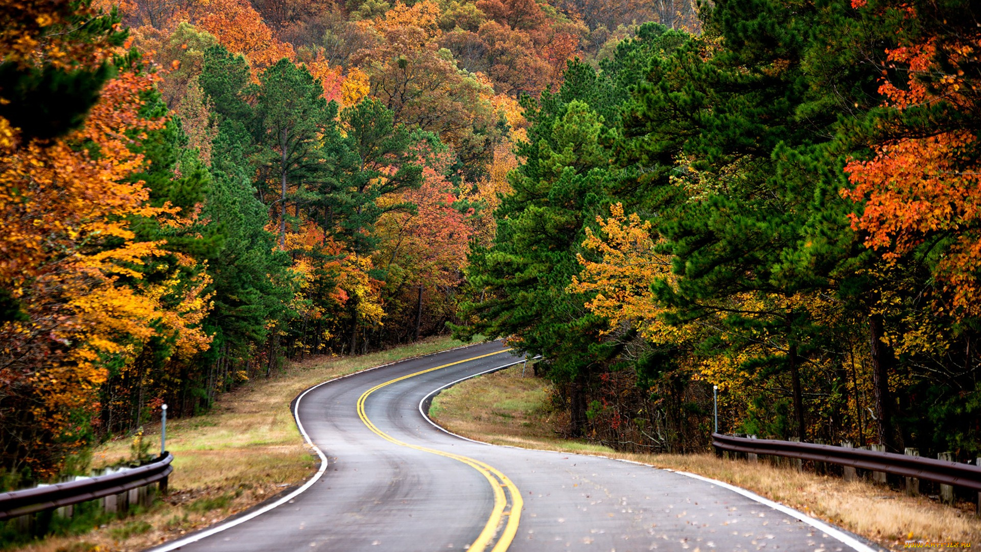 природа, дороги, простор