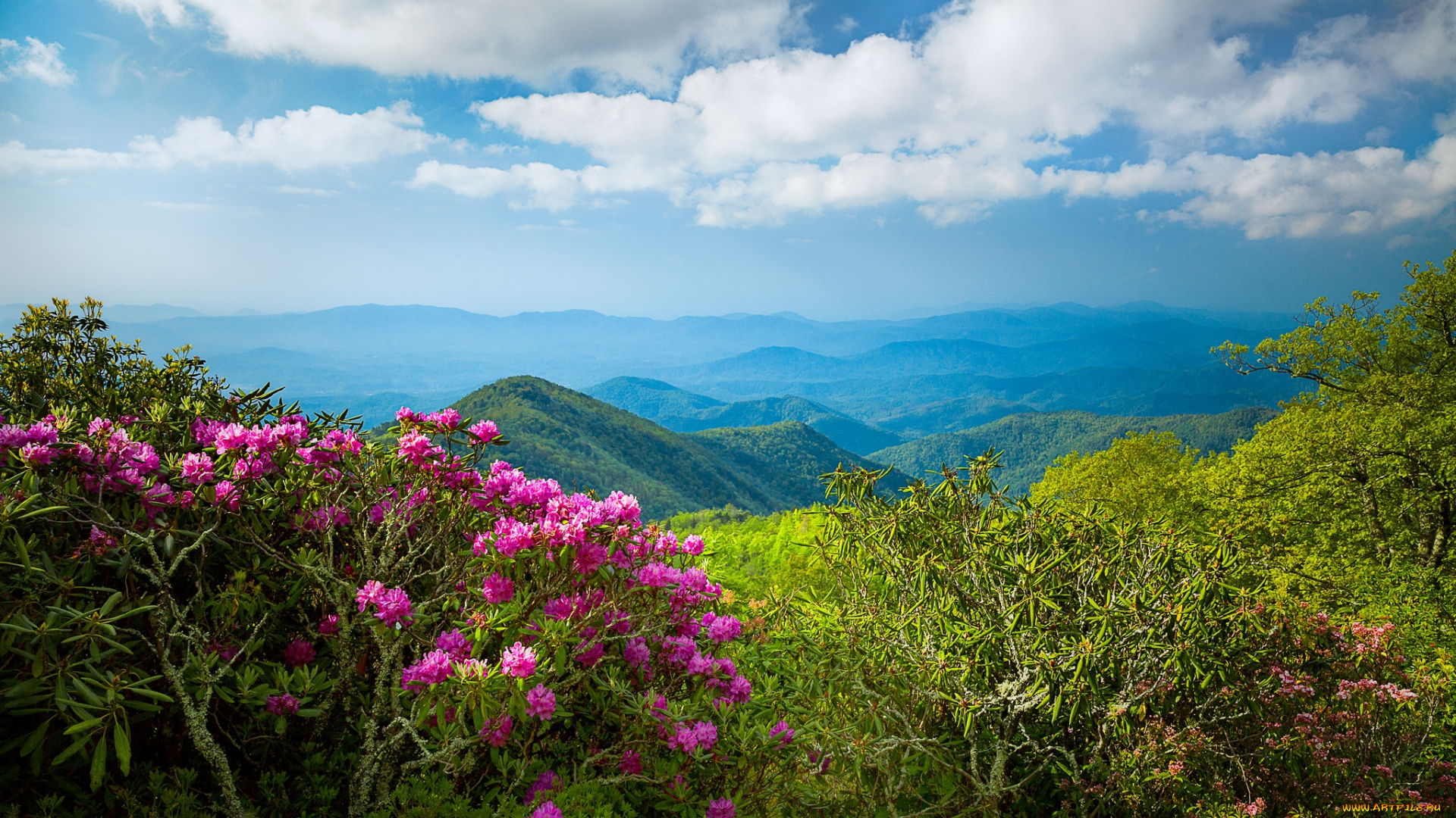 природа, горы, простор