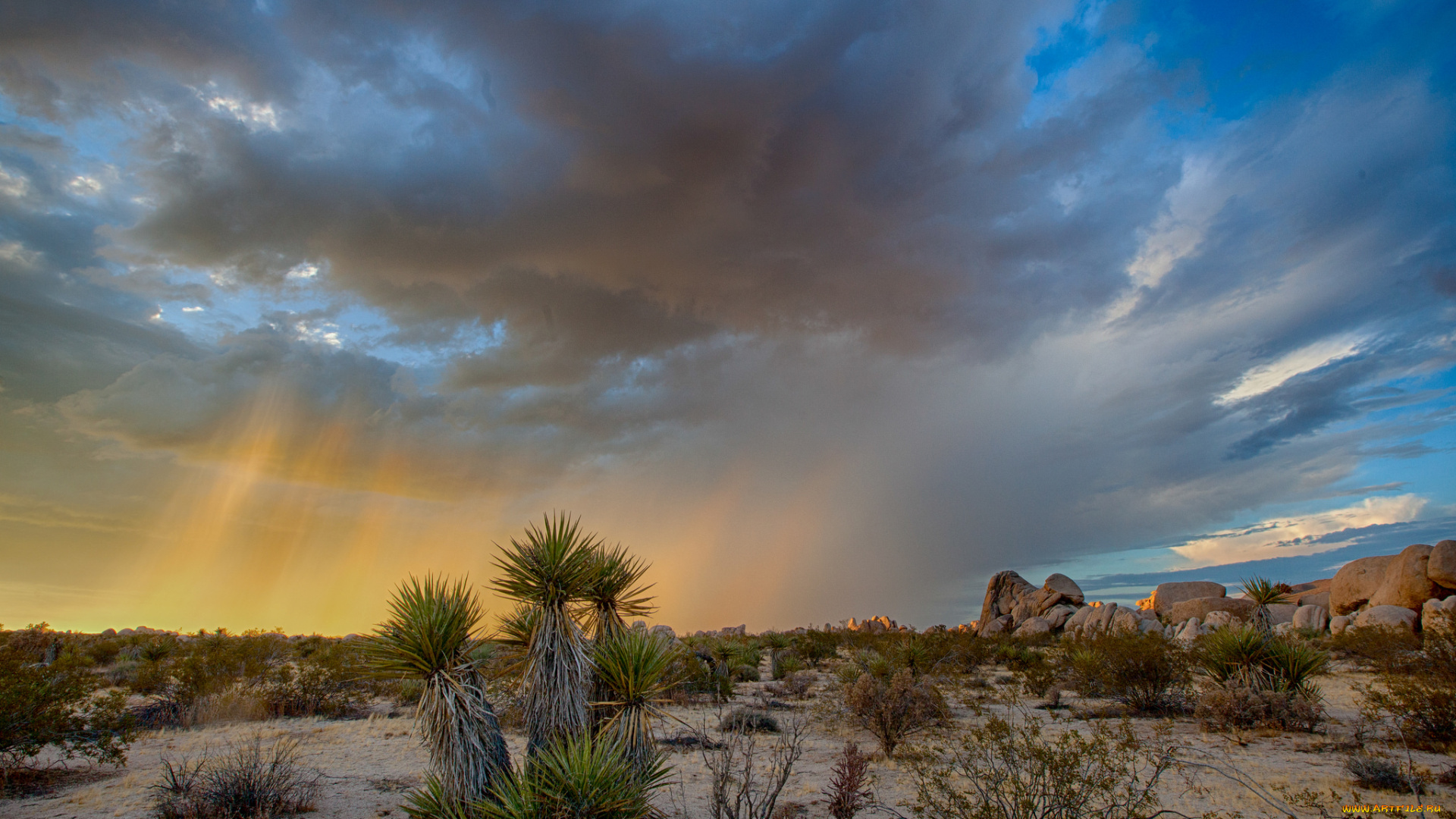 природа, пейзажи, простор