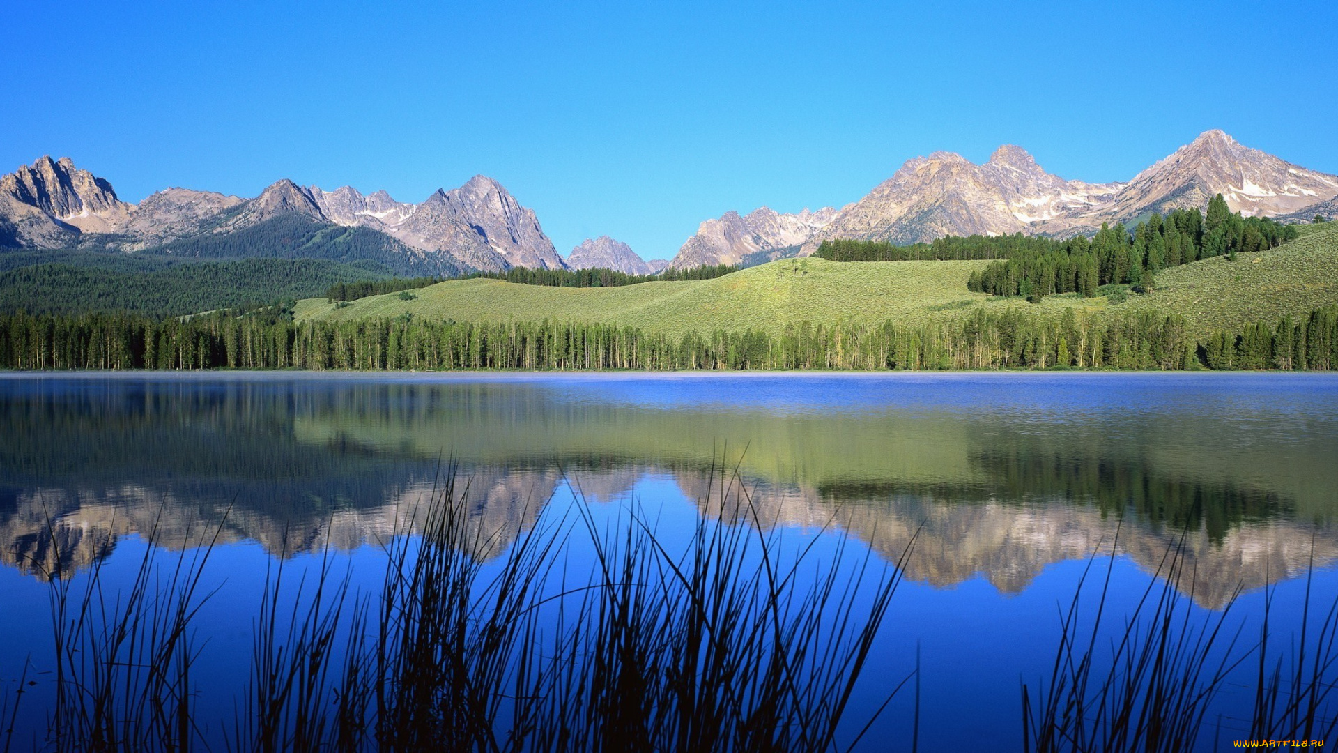 природа, реки, озера, озеро, луга, лес, горы