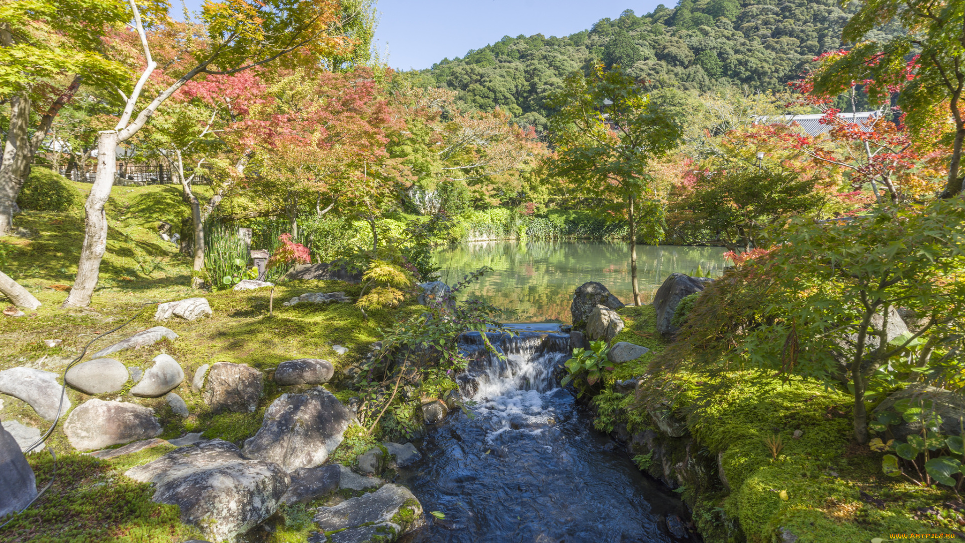 природа, реки, озера, простор