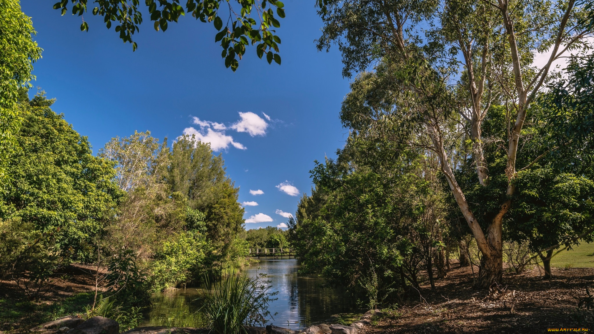 природа, реки, озера, простор