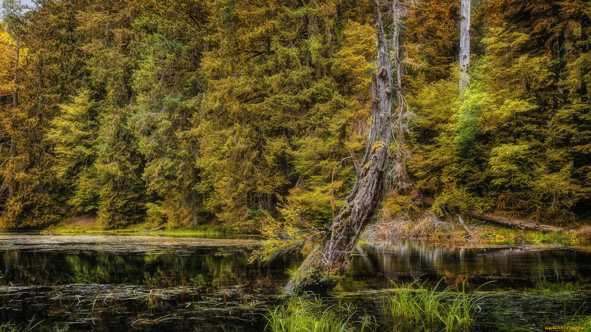 природа, реки, озера, простор