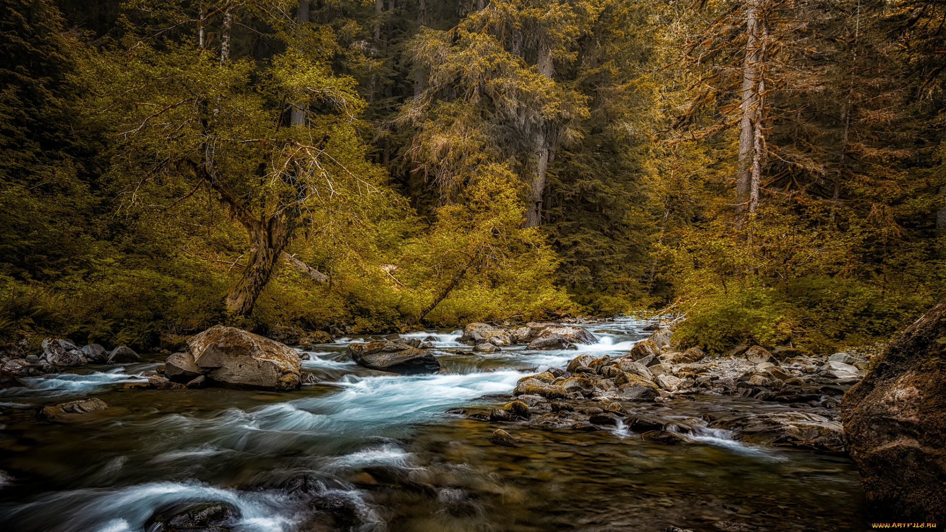 природа, реки, озера, простор