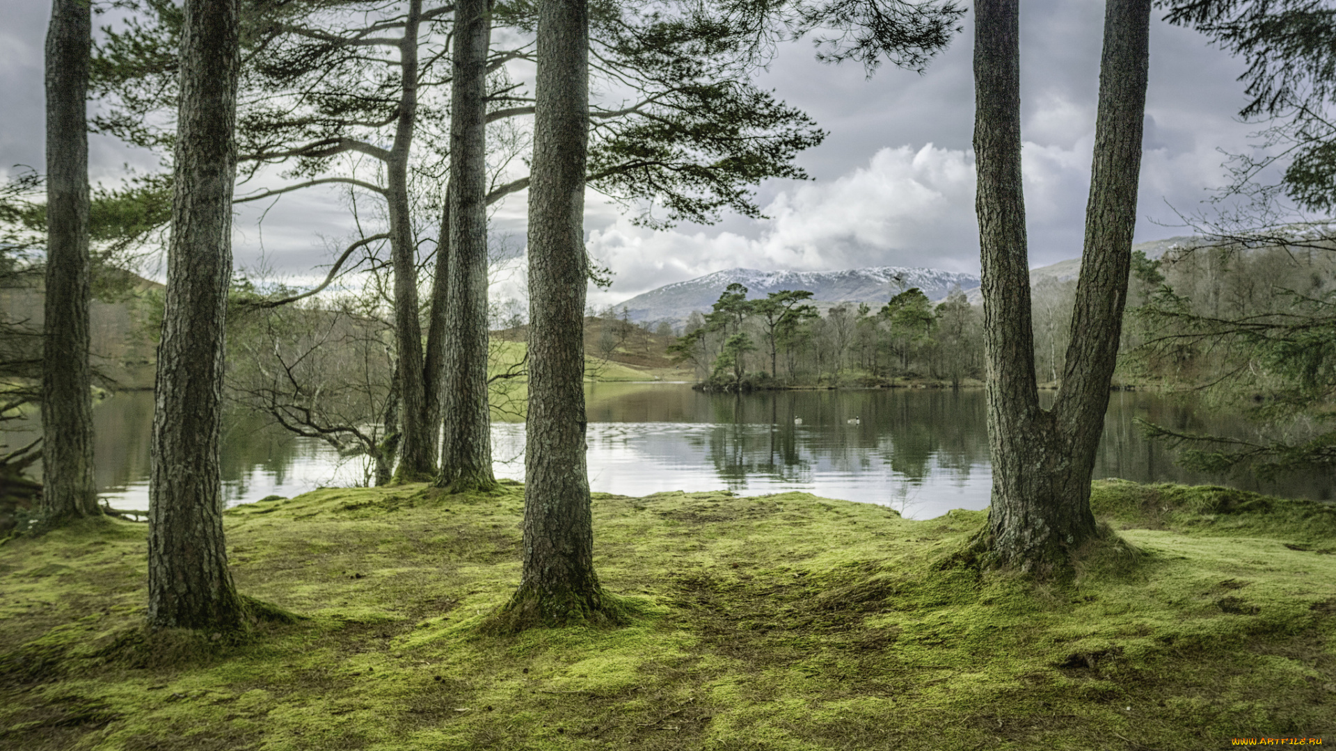 природа, реки, озера, простор