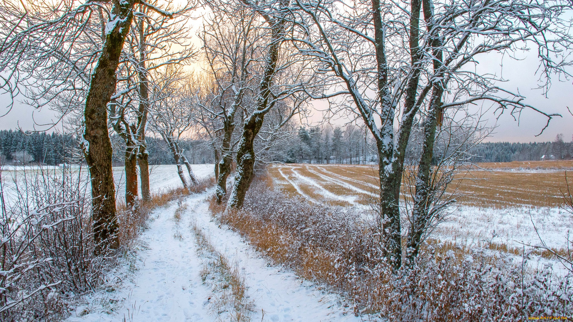 природа, зима, простор