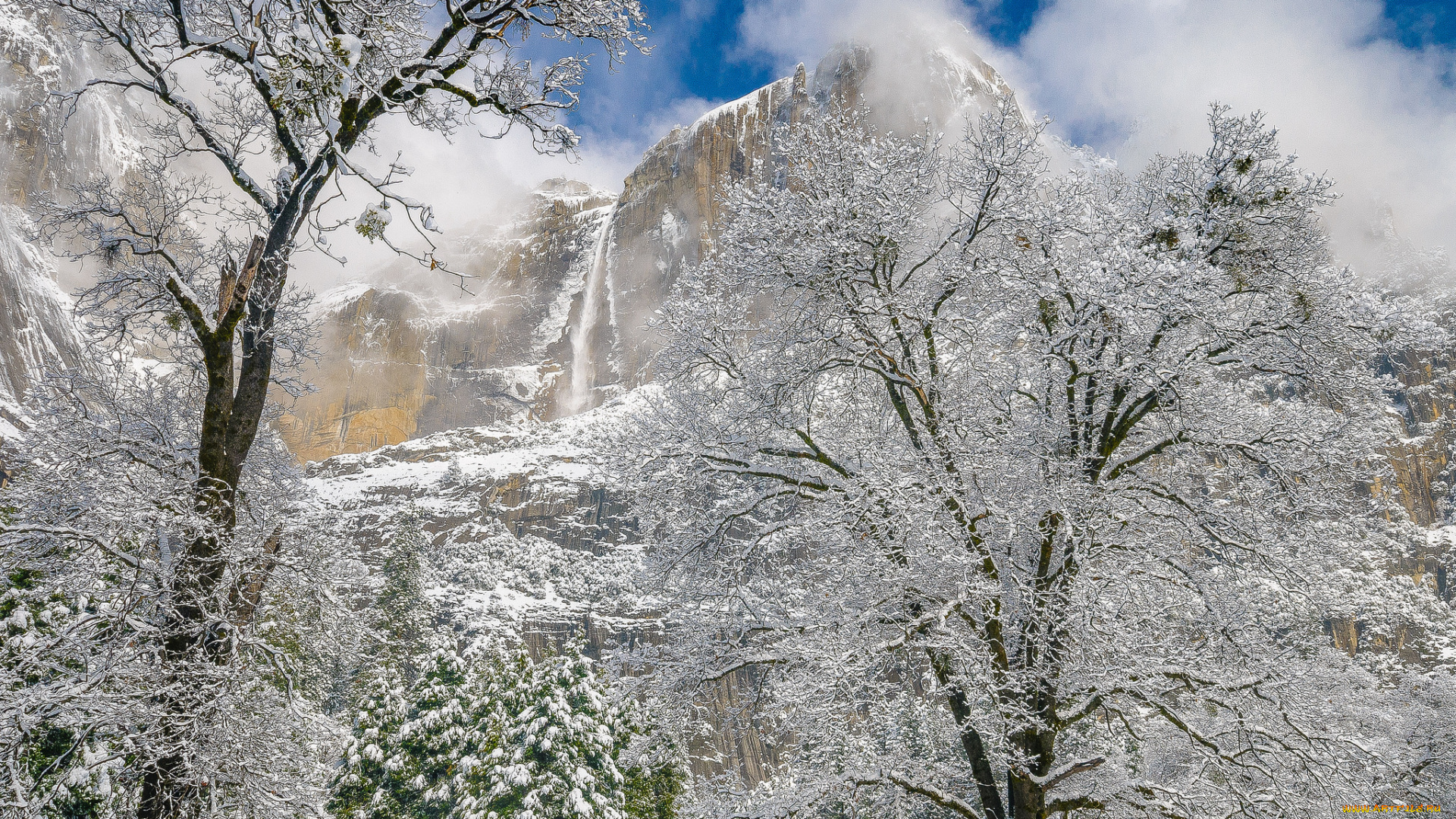 природа, зима, простор