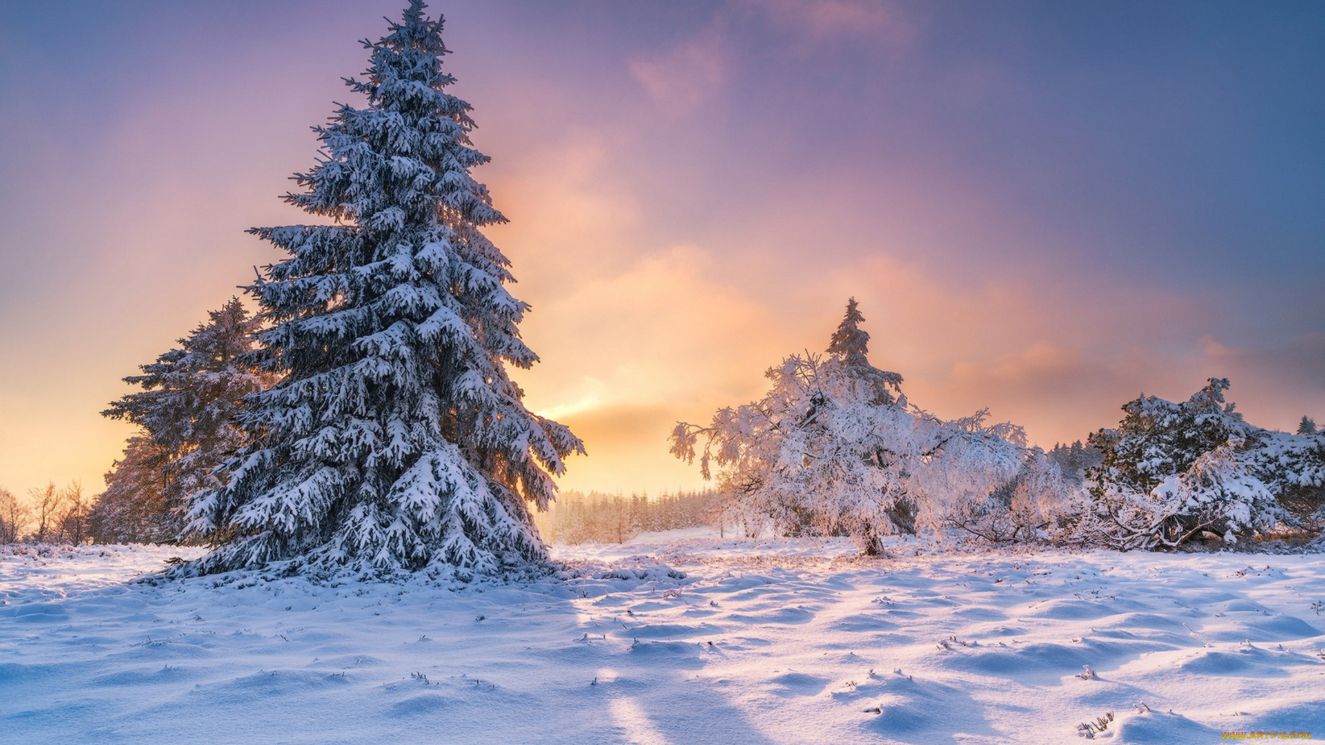 природа, зима, простор