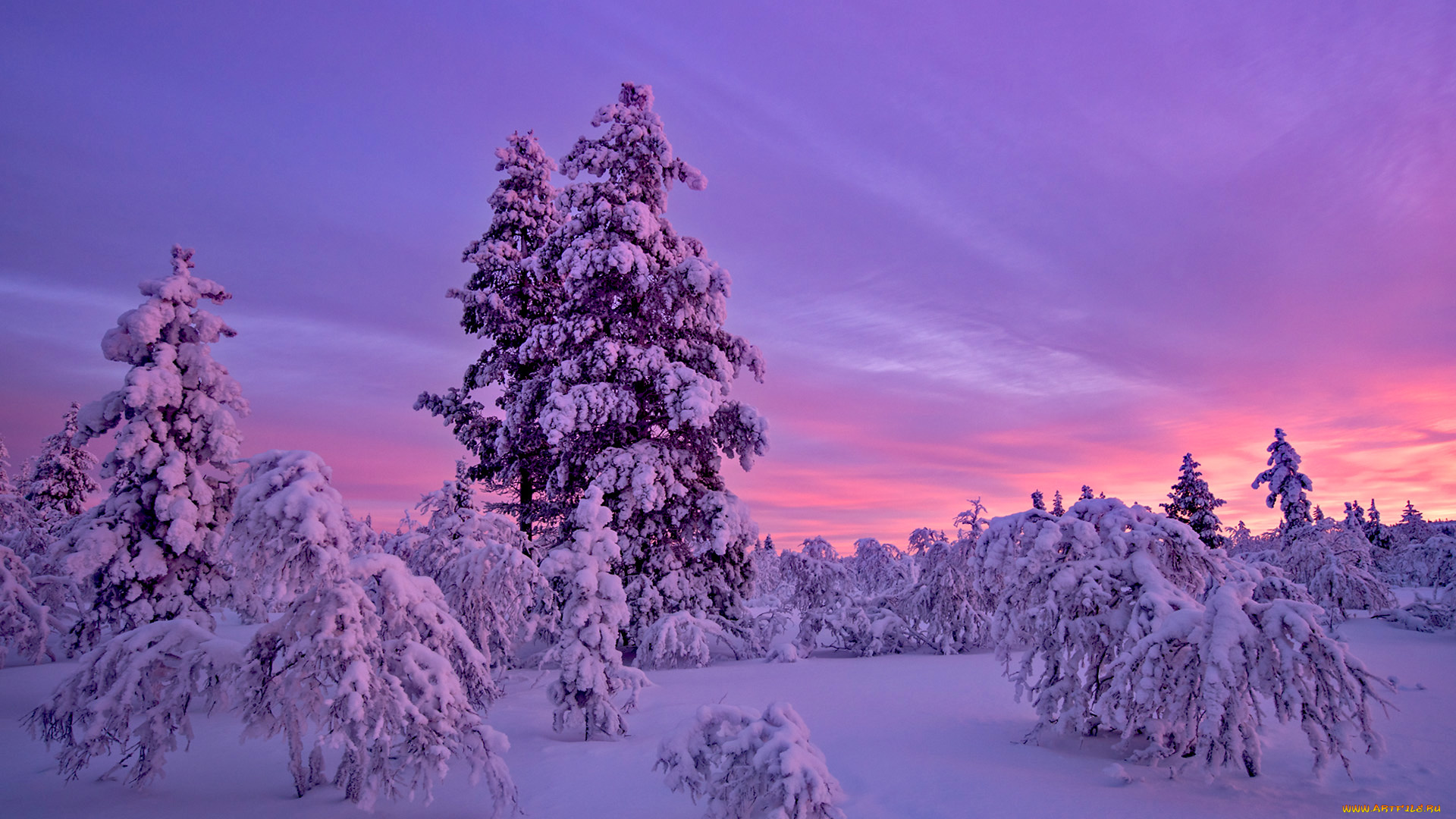 природа, зима, снег, закат, деревья