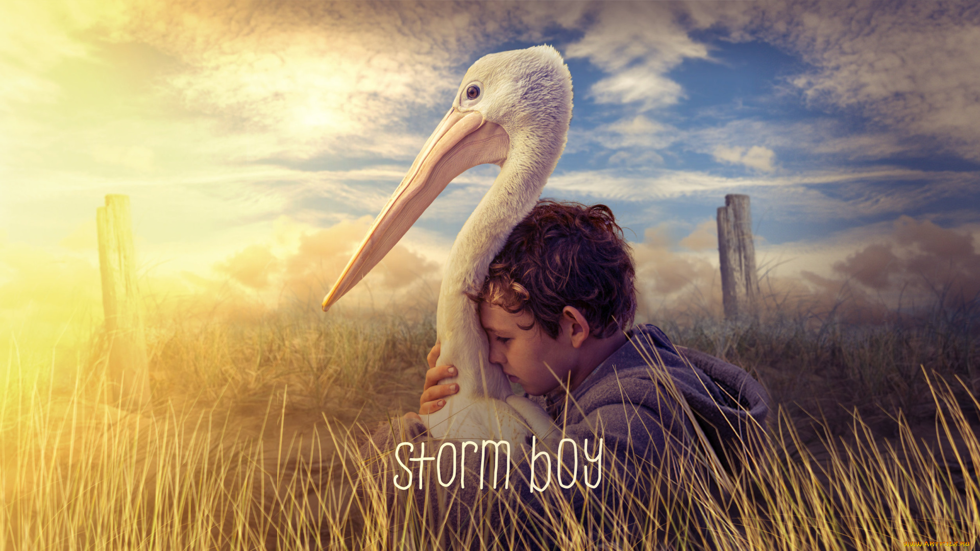 storm, boy, кино, фильмы, -unknown, , другое, storm, boy