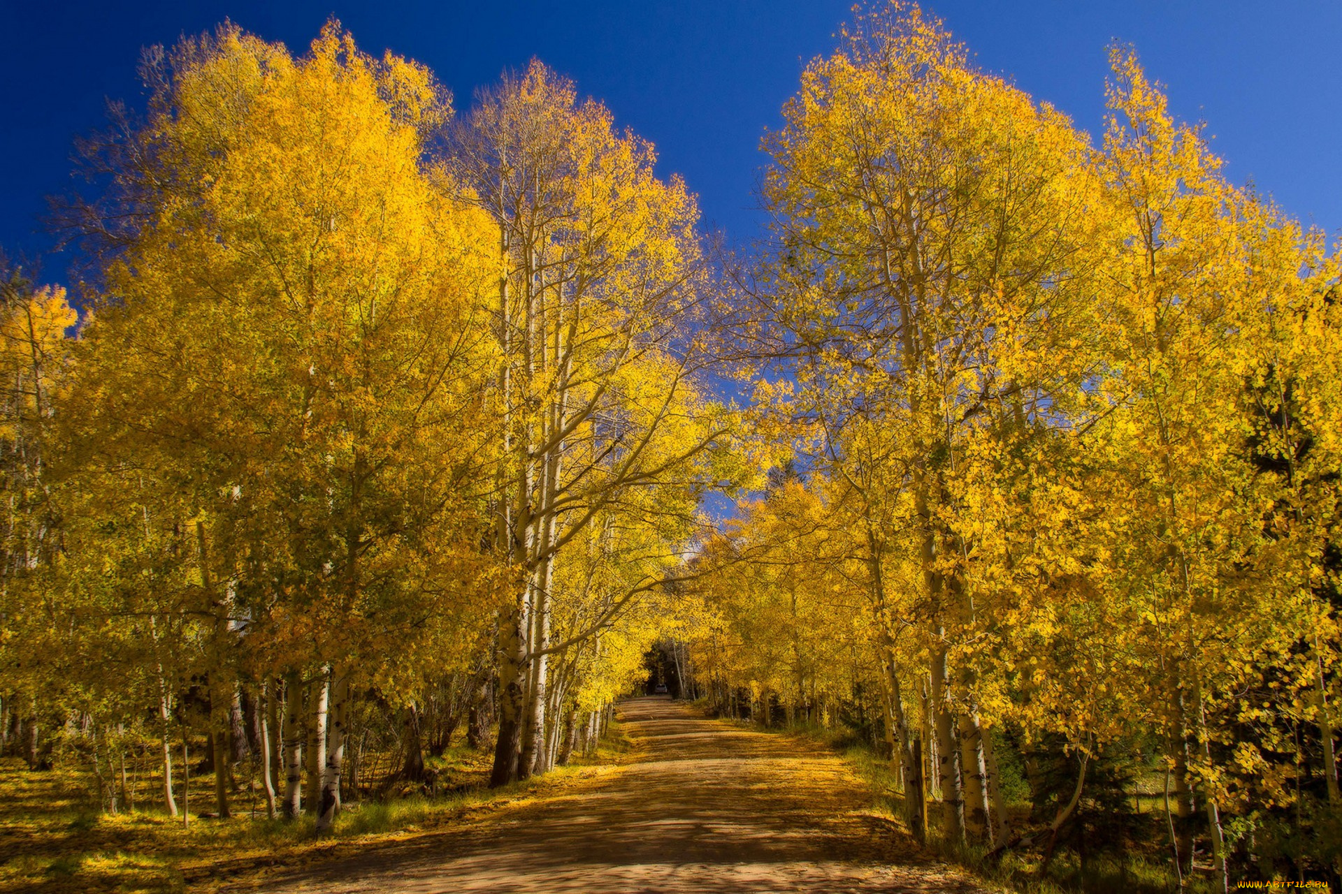 природа, дороги, простор