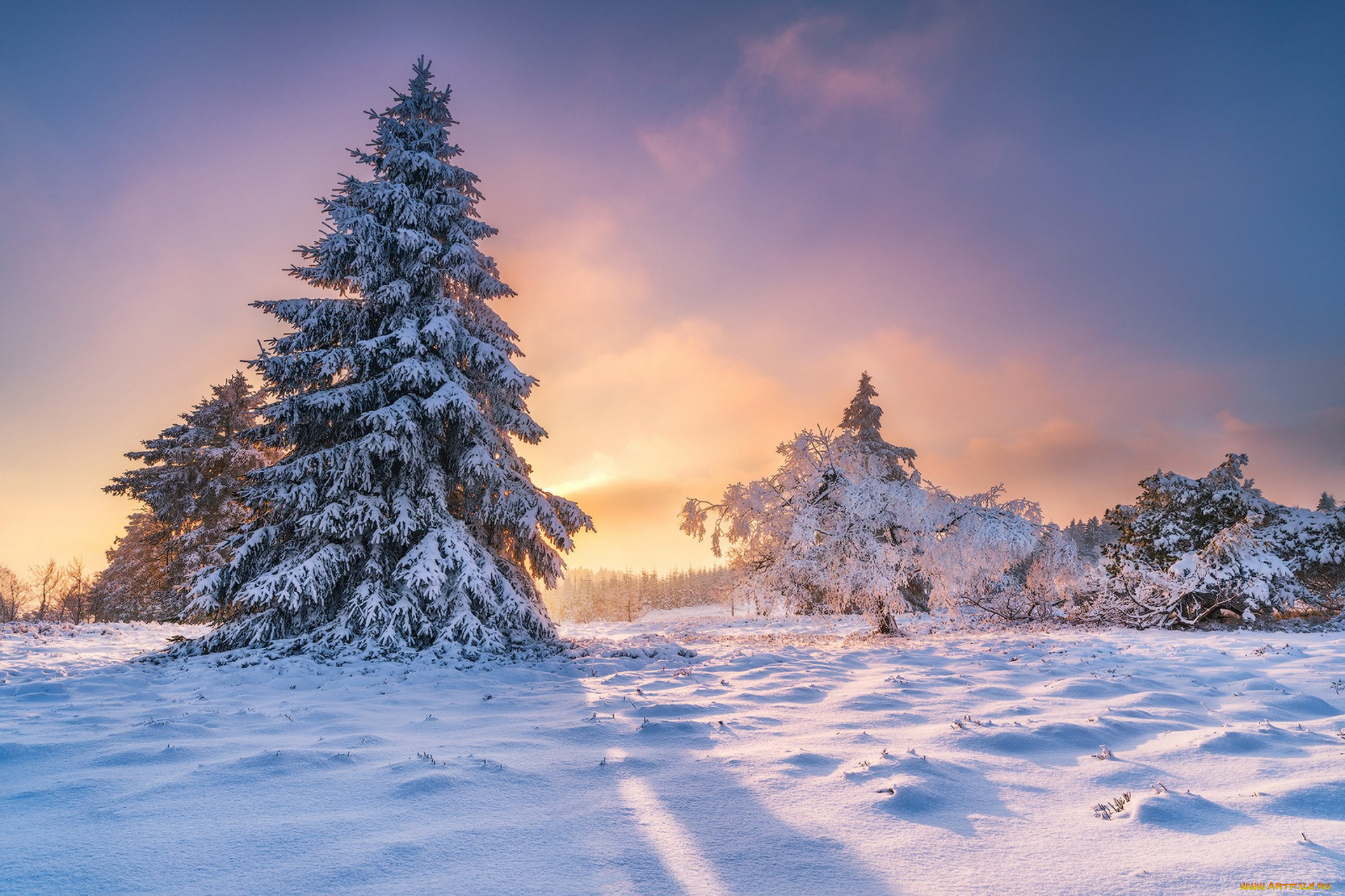 природа, зима, простор