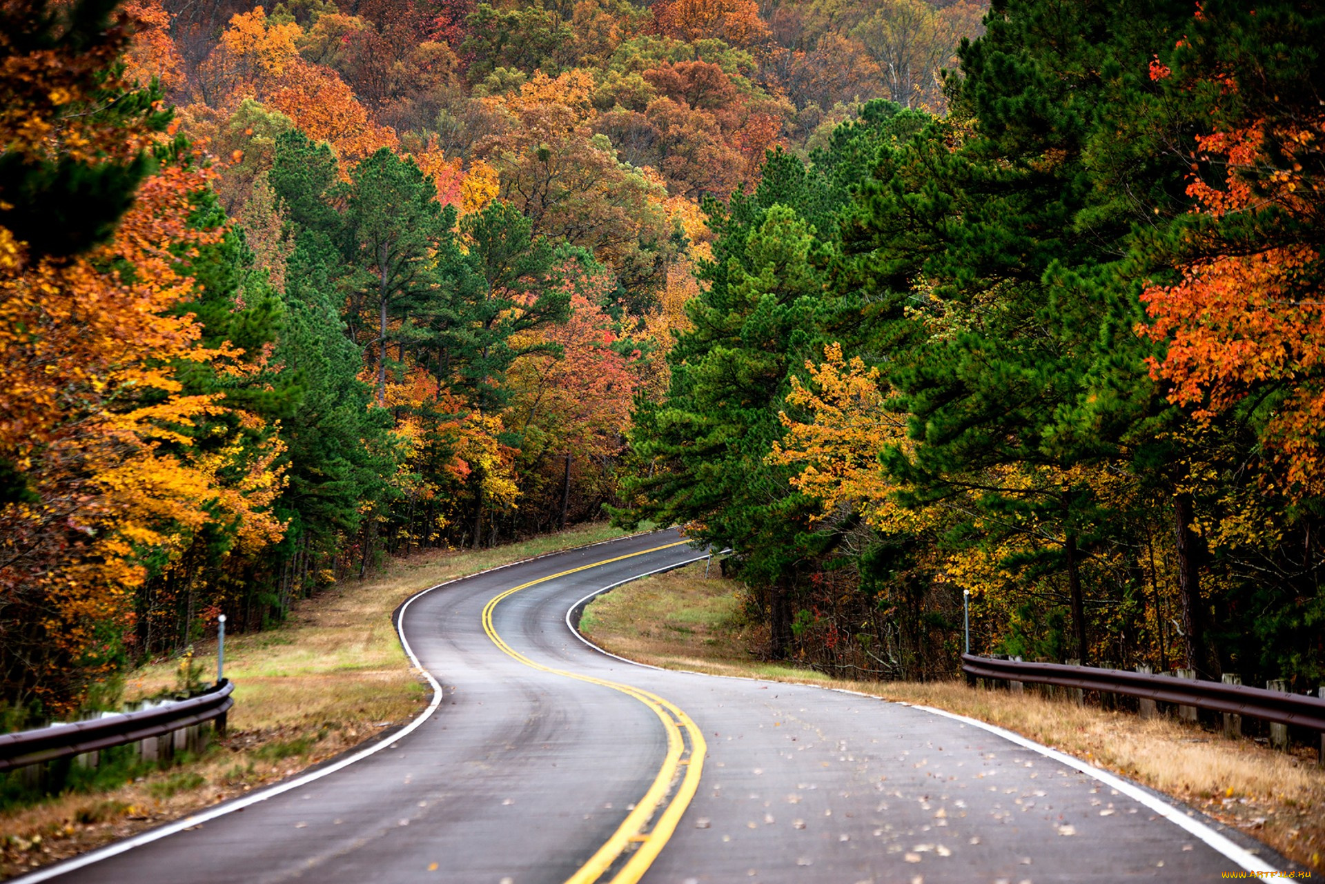 природа, дороги, простор