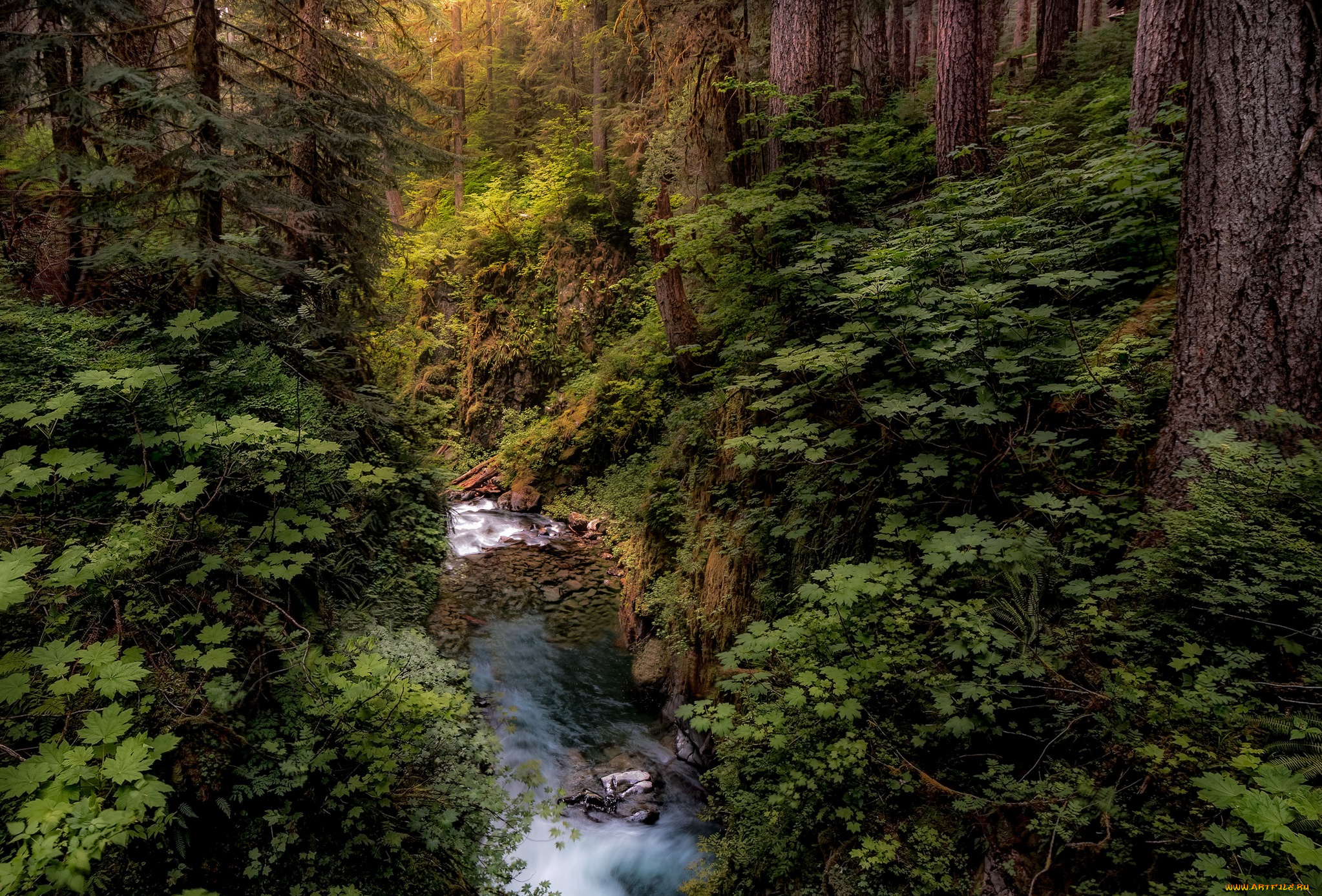 природа, реки, озера, простор