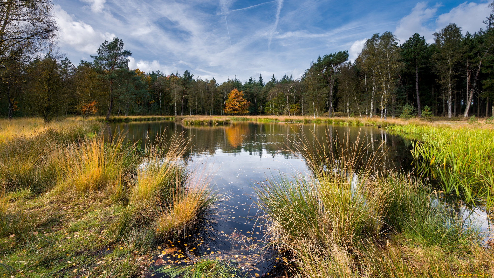 природа, реки, озера, простор