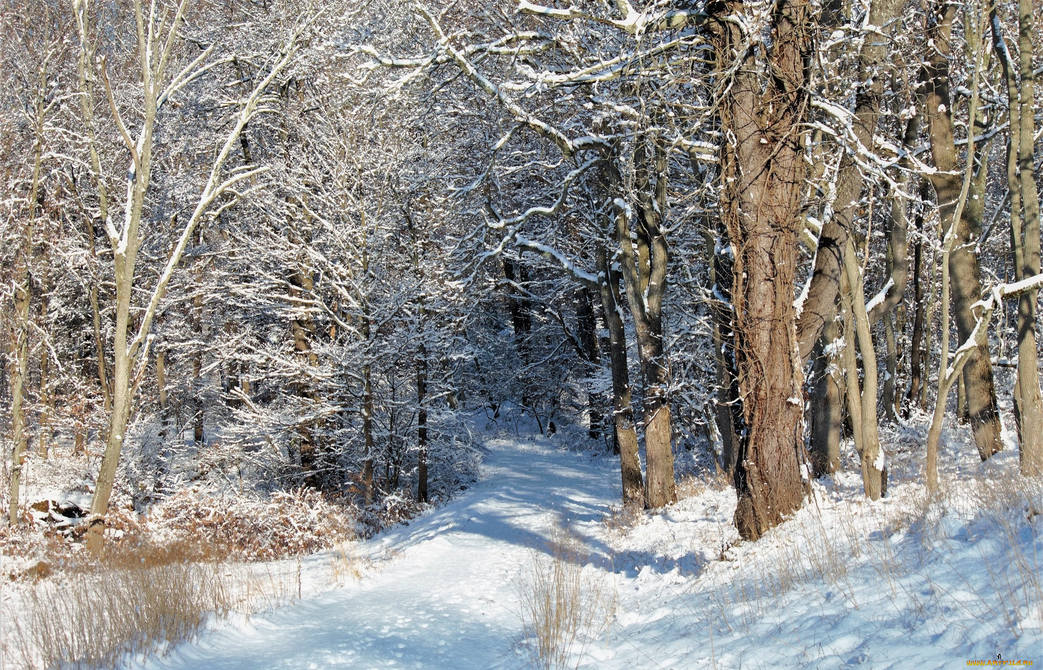 природа, зима, простор