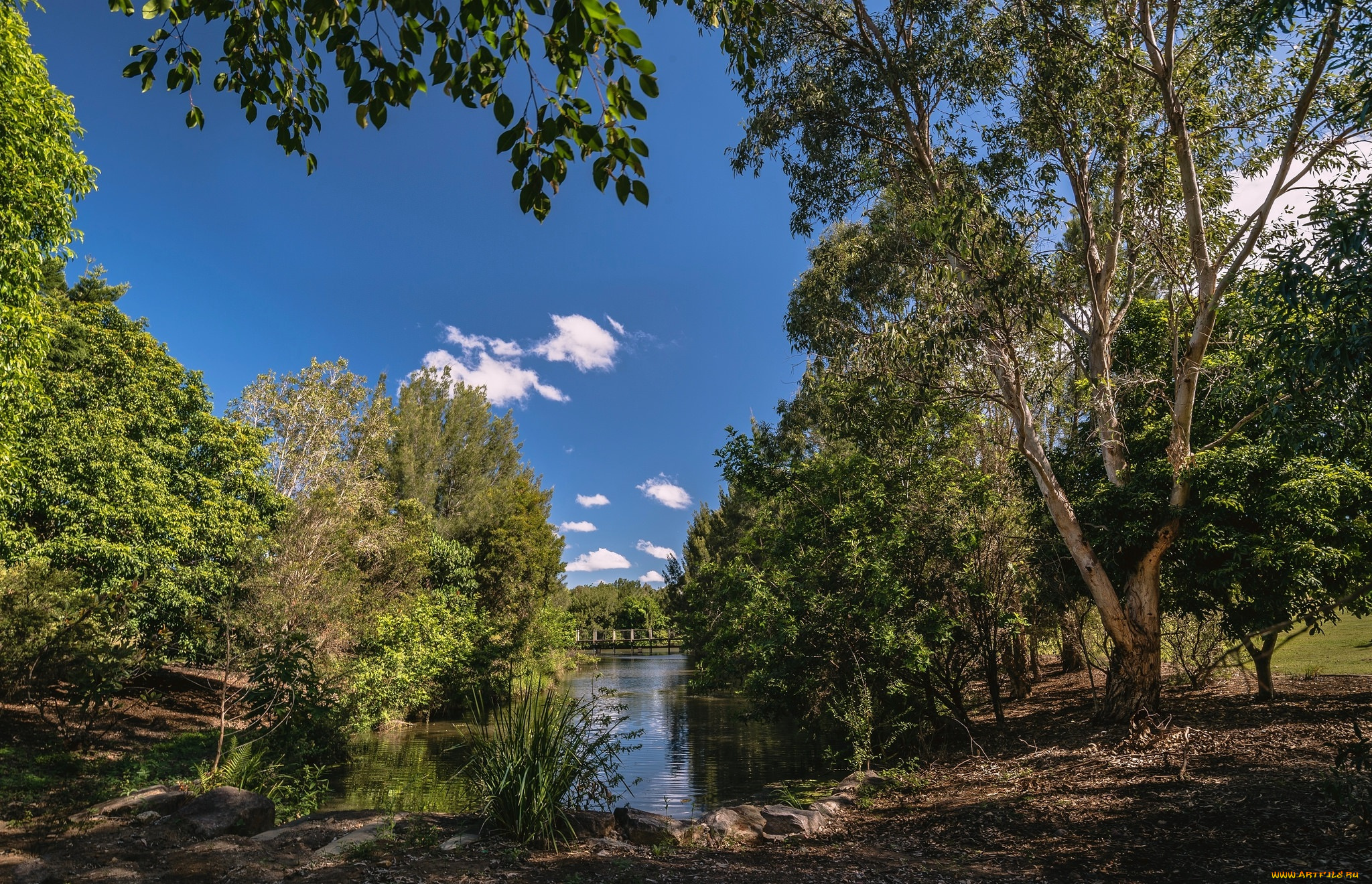 природа, реки, озера, простор