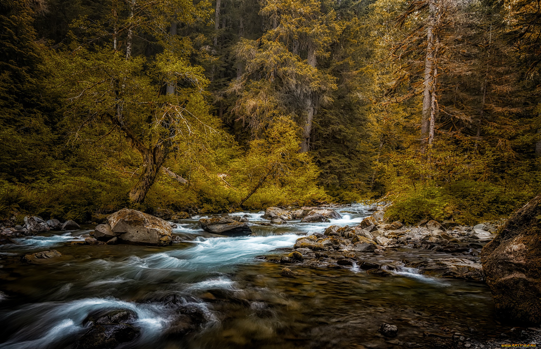 природа, реки, озера, простор