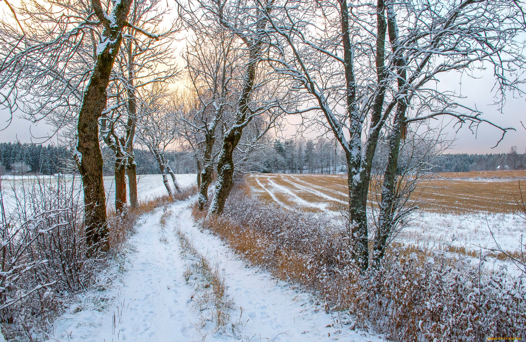 природа, зима, простор