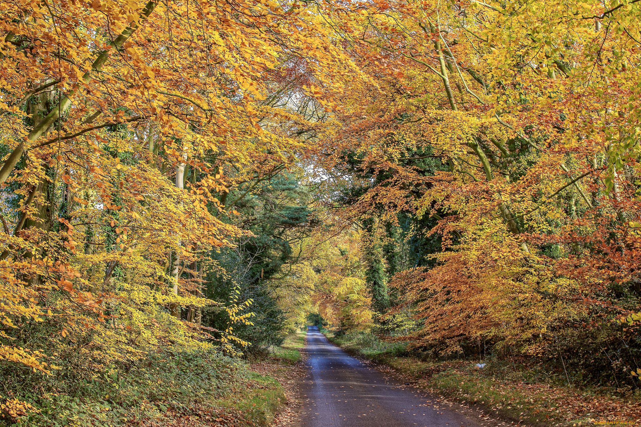 природа, дороги, простор