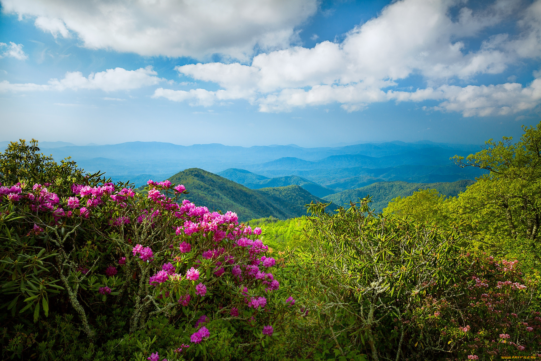 природа, горы, простор