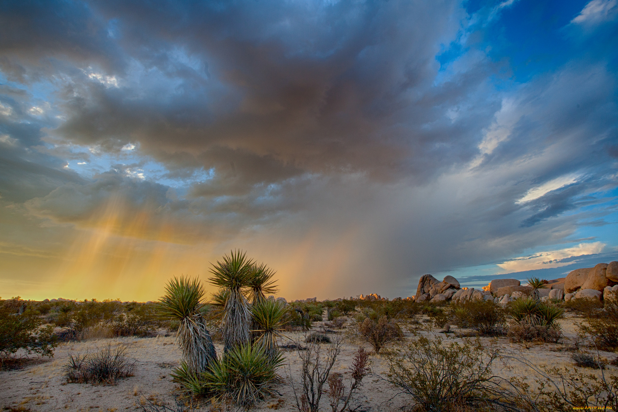 природа, пейзажи, простор