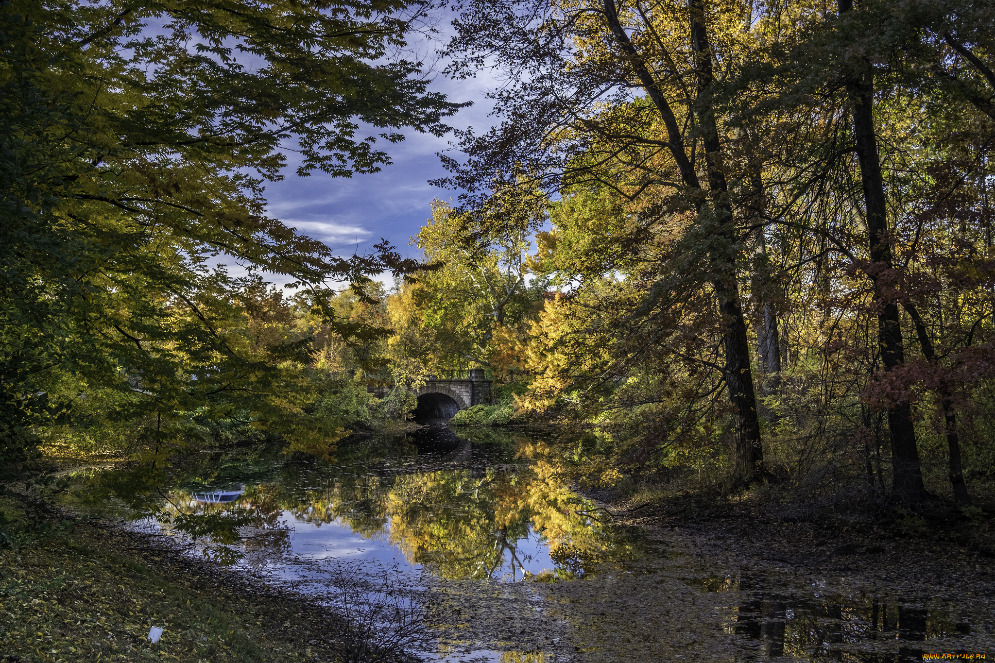 природа, реки, озера, простор