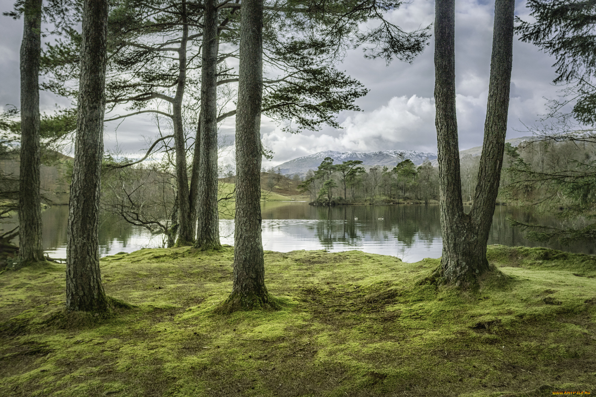 природа, реки, озера, простор