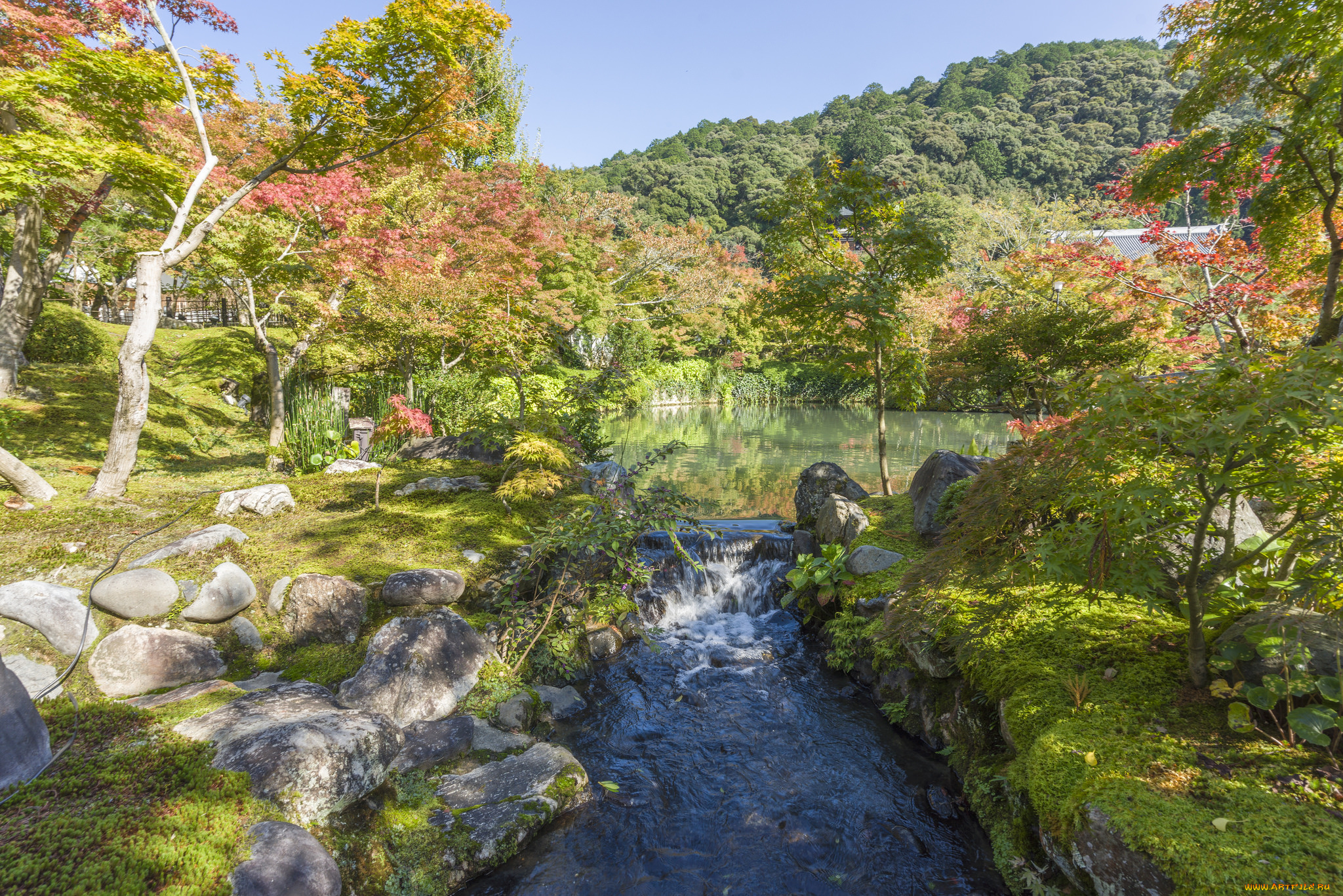 природа, реки, озера, простор