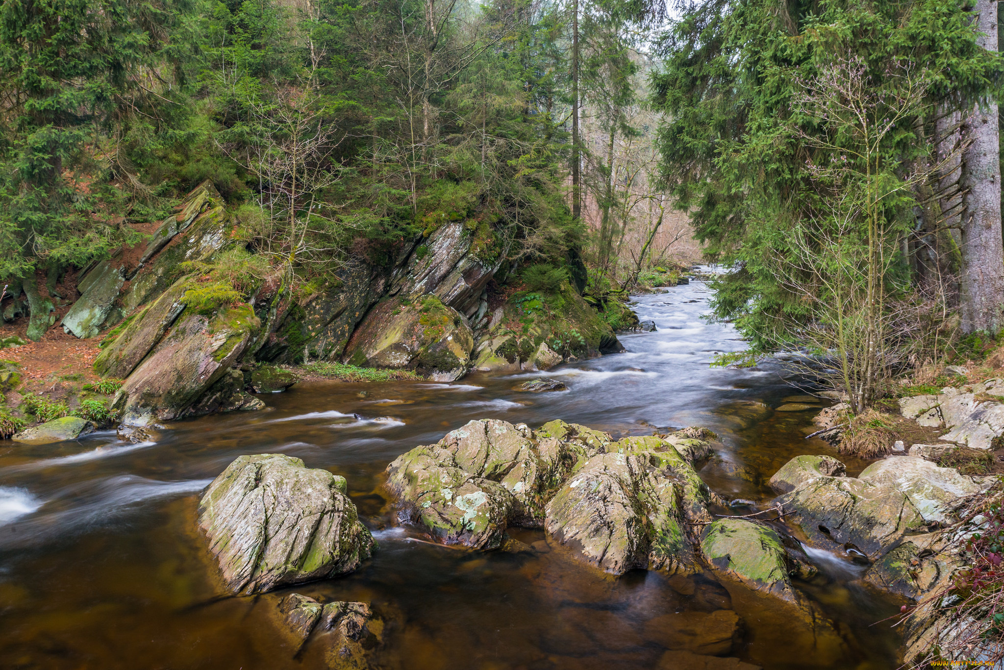 природа, реки, озера, простор