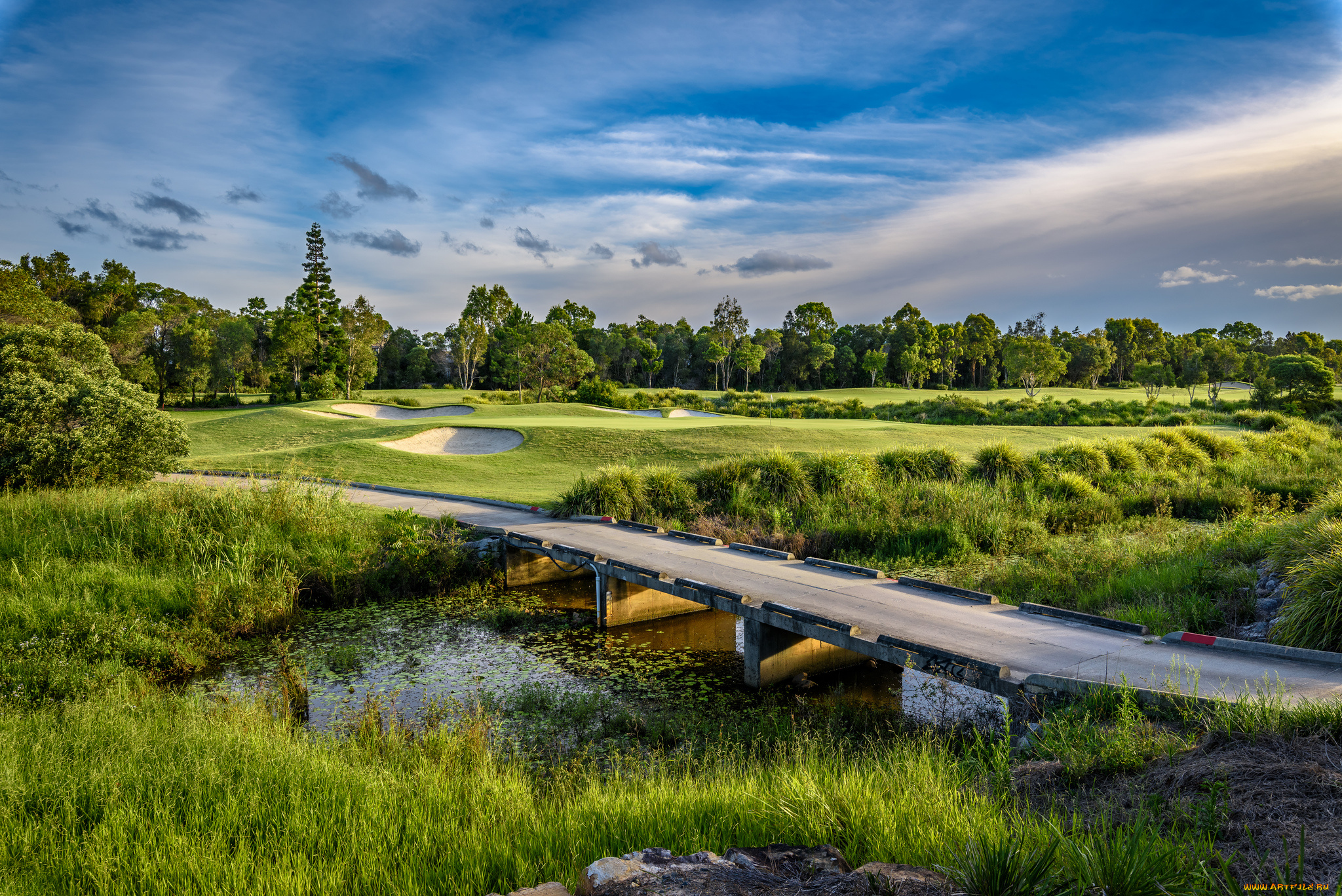 природа, реки, озера, простор