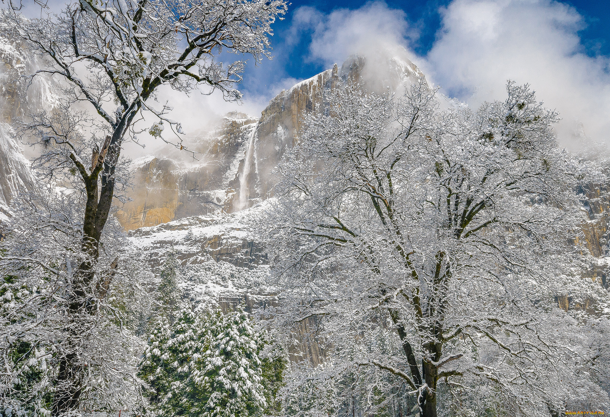 природа, зима, простор