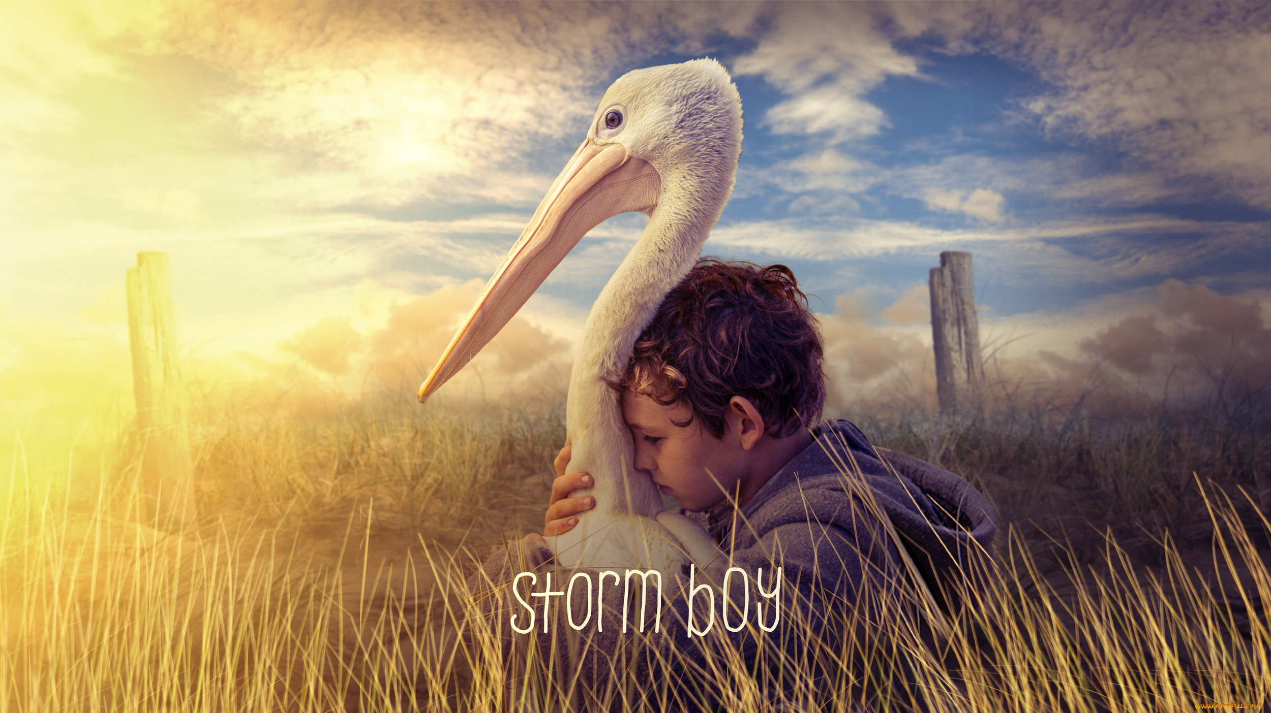 storm, boy, кино, фильмы, -unknown, , другое, storm, boy