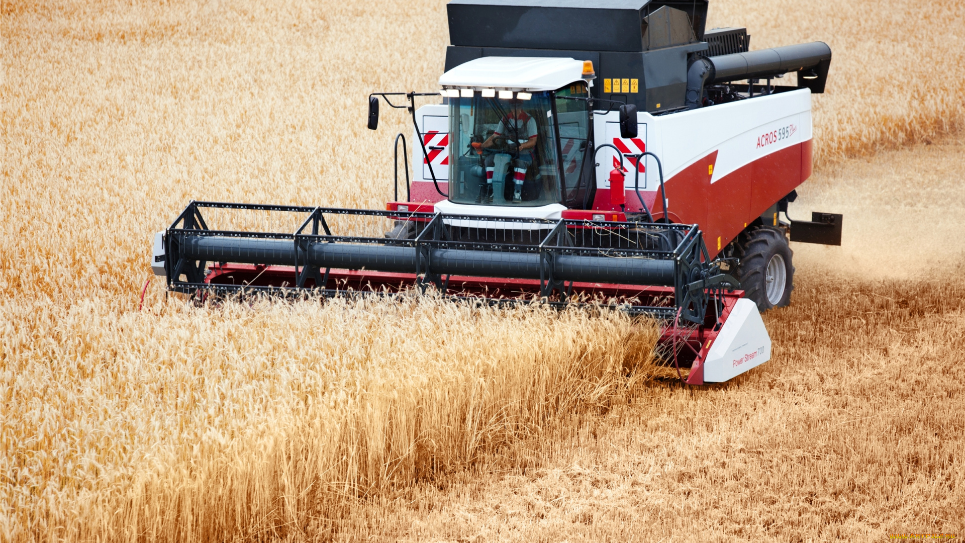комбайн, acros-, 595, техника, комбайны, комбайн, acros-, 595, поле
