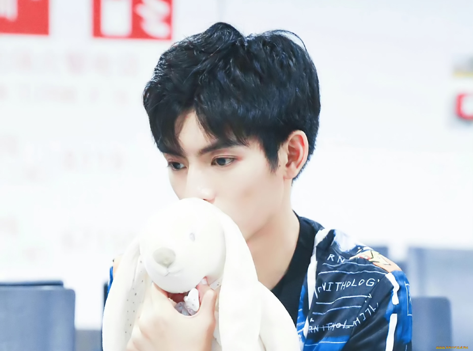 мужчины, wang, hao, xuan, ван, хао, сюань