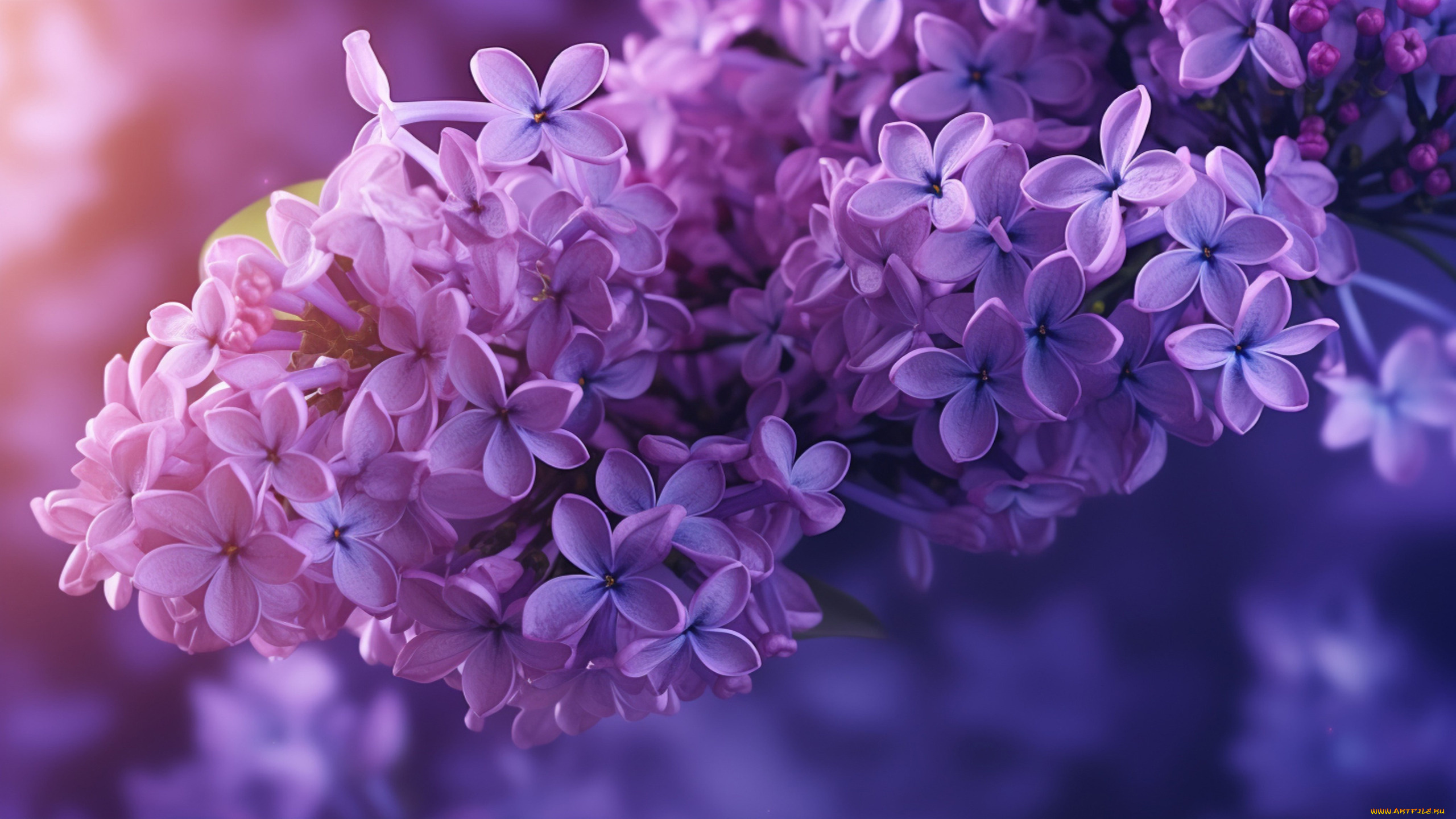 3д, графика, цветы, , flowers, цветы, сирень, весна, фон