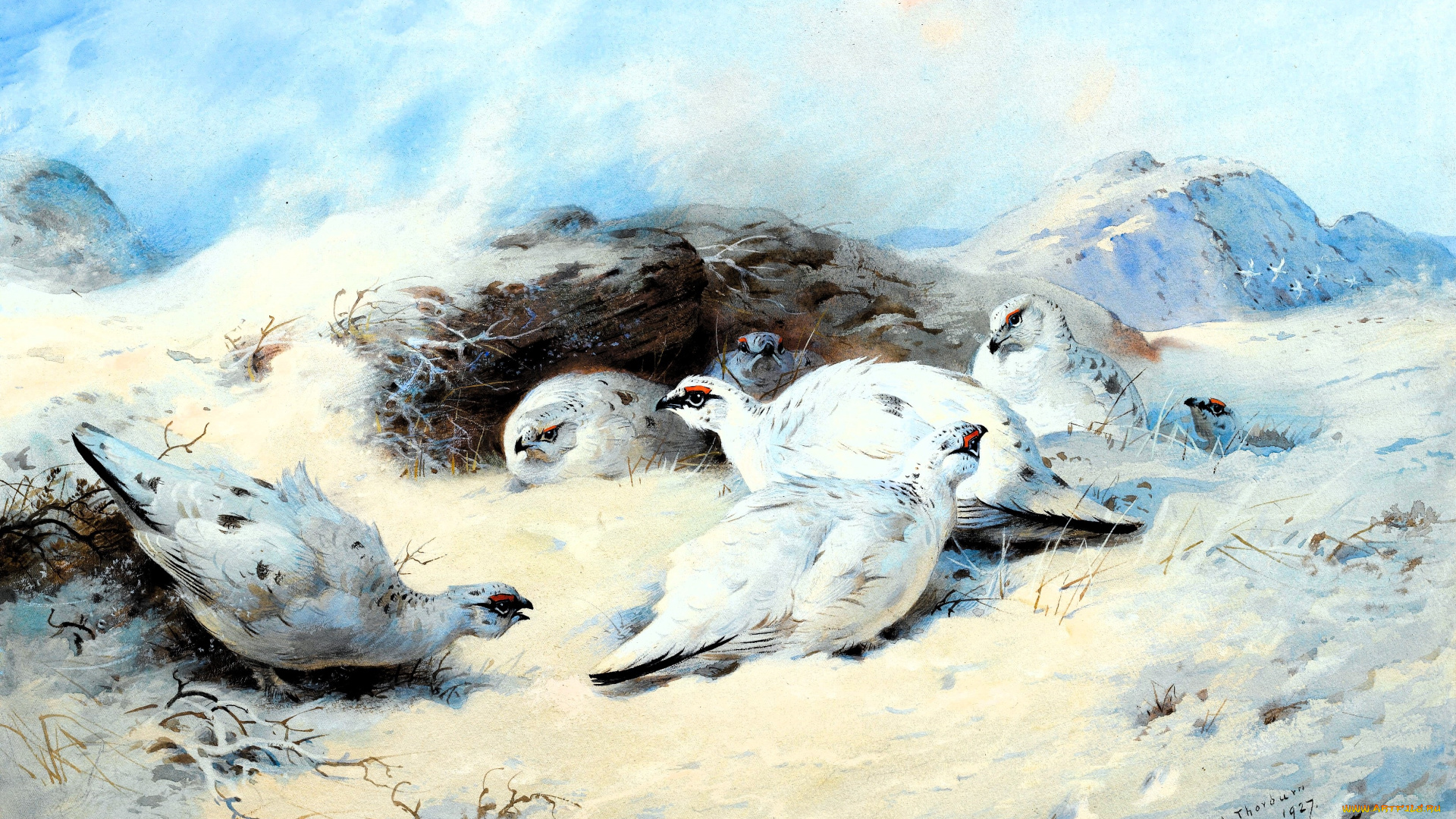 рисованное, archibald, thorburn, птицы, снег, зима, камни