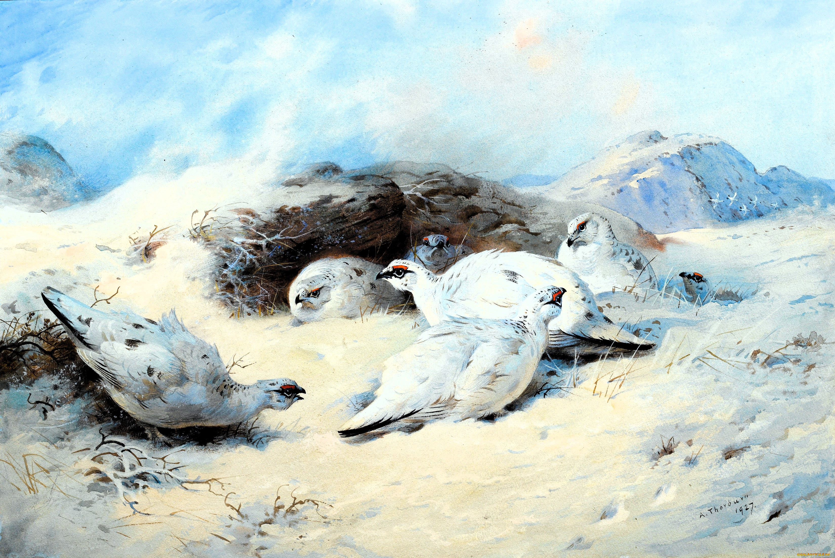 рисованное, archibald, thorburn, птицы, снег, зима, камни