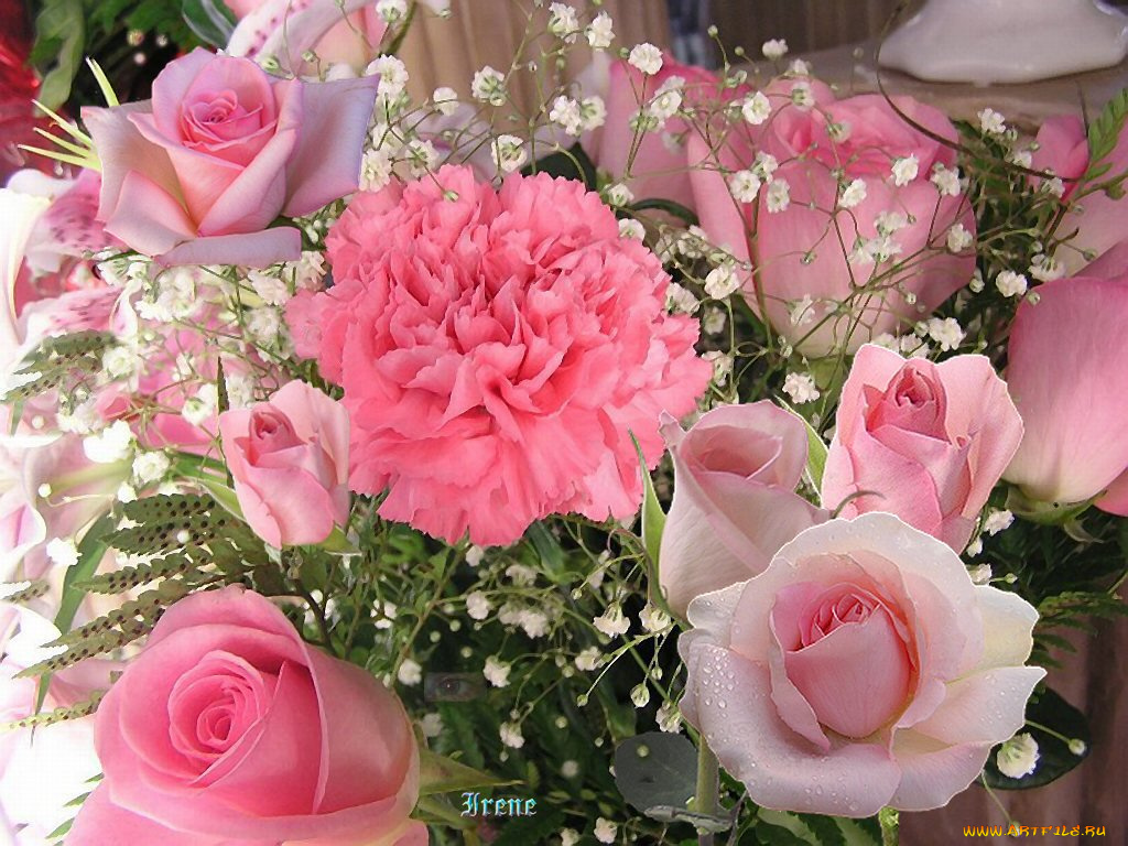 цветы, разные, вместе