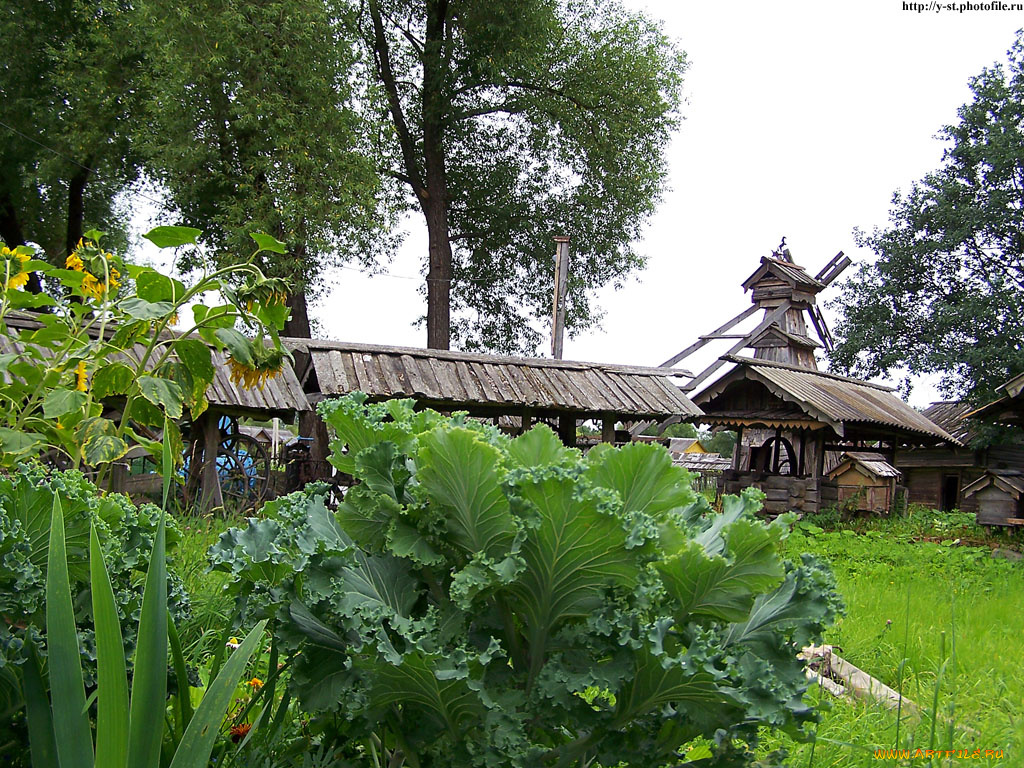 мышкин, народный, музей, города, другое