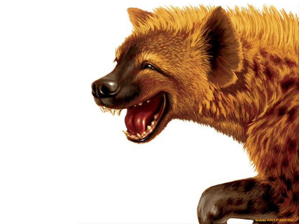 рисованные, животные, гиены